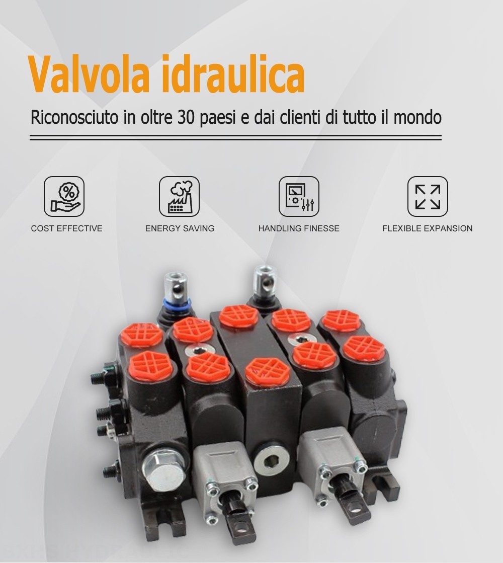 DCV60-Double control Manuale 2 Spool Valvola direzionale sezionale